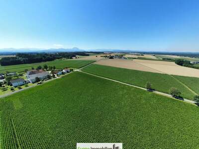 Gewerbeobjekt kaufen in 4654 Bad Wimsbach (Bild 5)