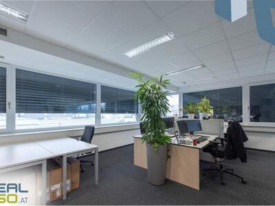 Gewerbeobjekt mieten in 4061 Pasching (Bild 5)