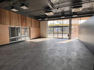 Gewerbeobjekt kaufen in 8295 Sankt Johann (Bild 3)