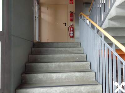 Gewerbeobjekt mieten in 4910 Ried (Bild 5)