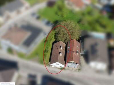 Haus mit Garten kaufen in 4501 Neuhofen (Bild 3)