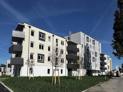 Wohnung mieten in 2700 Wiener Neustadt