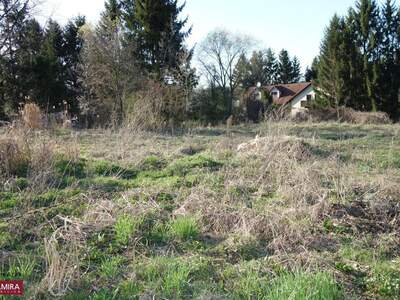 Grundstück kaufen in 3062 Kirchstetten