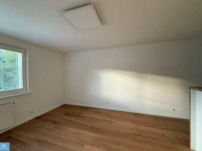 Wohnung mieten in 1130 Wien (Bild 3)