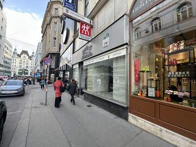Gewerbeobjekt mieten in 1010 Wien (Bild 5)