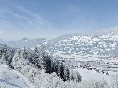 Grundstück kaufen in 6263 Fügenberg
