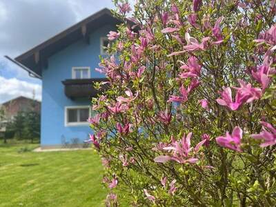 Mietwohnung provisionsfrei in 5204 Straßwalchen