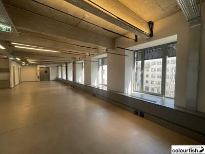 Gewerbeobjekt mieten in 1030 Wien (Bild 4)