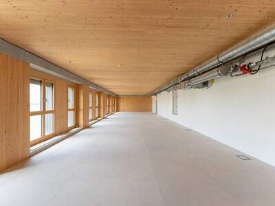 Büro / Praxis mieten in 1220 Wien (Bild 5)