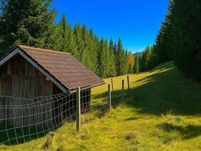 Gewerbeobjekt kaufen in 8850 Murau (Bild 4)