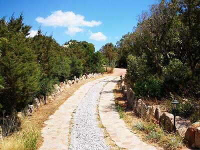 Haus kaufen in 7020 Palau (Bild 2)