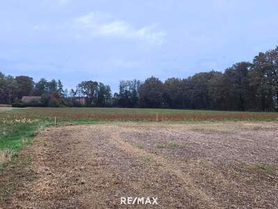 Gewerbeobjekt kaufen in 8484 Donnersdorf