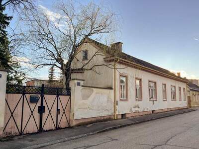 Haus kaufen in 2700 Wiener Neustadt