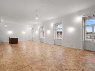 Wohnung mieten in 1010 Wien (Bild 1)