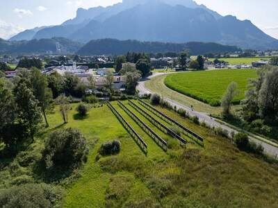 Grundstück kaufen in 5081 Anif