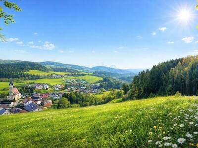 Grundstück kaufen in 4204 Reichenau