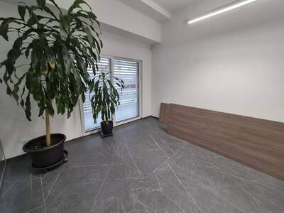 Gewerbeobjekt kaufen in 1230 Wien