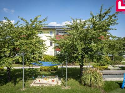 Wohnung mieten in 4600 Schleißheim (Bild 2)