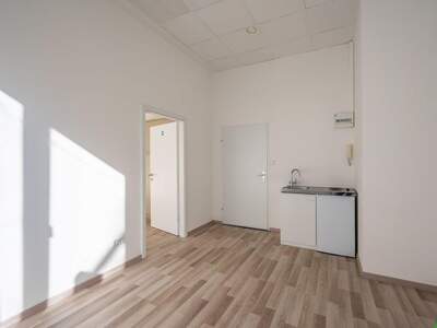 Gewerbeobjekt mieten in 1100 Wien (Bild 3)
