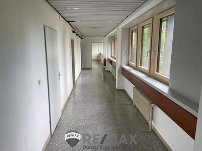 Büro / Praxis mieten in 3430 Tulln (Bild 4)