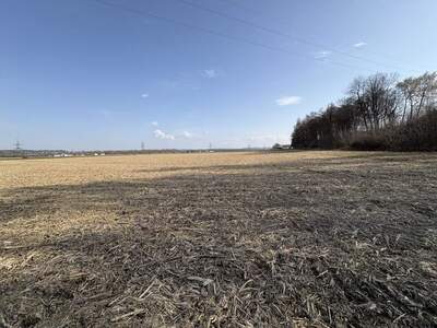Gewerbeobjekt kaufen in 5274 Burgkirchen