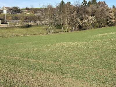 Grundstück kaufen in 3701 Ameisthal