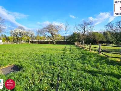 Grundstück kaufen in 2620 Neunkirchen (Bild 5)