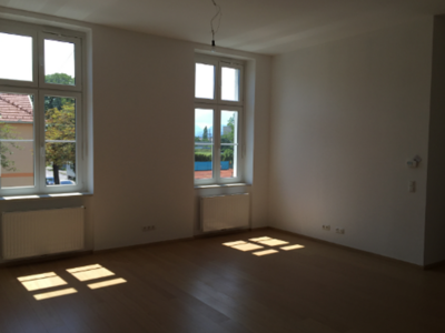 Altbauwohnung mieten in 2700 Wiener Neustadt (Bild 5)