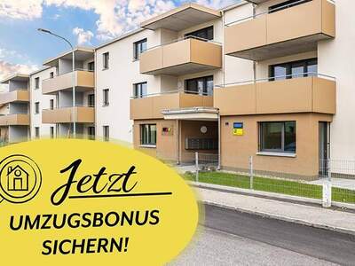 Wohnung mieten in 3950 Gmünd