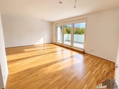 Terrassenwohnung kaufen in 3400 Klosterneuburg (Bild 2)
