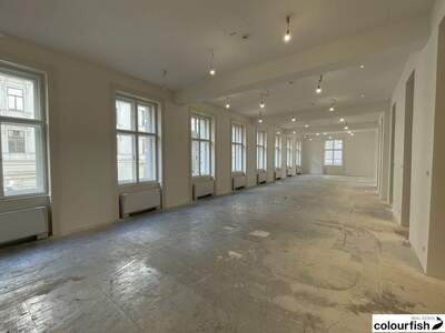 Gewerbeobjekt mieten in 1010 Wien (Bild 4)
