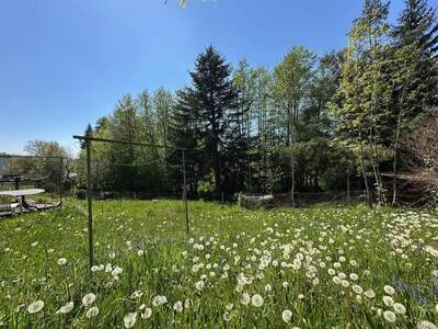 Grundstück kaufen in 4111 Walding