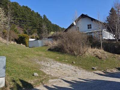 Grundstück kaufen in 2733 Grünbach (Bild 5)