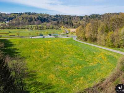 Gewerbeobjekt kaufen in 8333 Riegersburg (Bild 4)