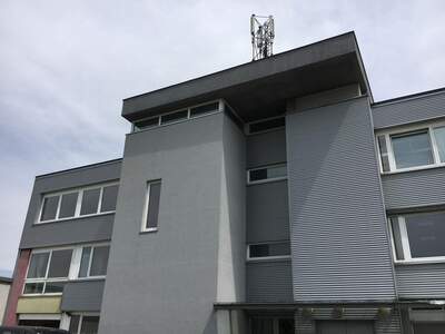 Gewerbeobjekt mieten in 1230 Wien (Bild 2)