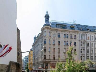 Gewerbeobjekt mieten in 1010 Wien (Bild 3)