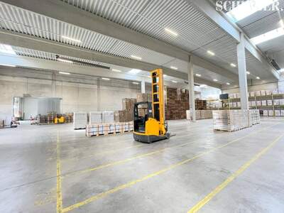 Gewerbeobjekt mieten in 8401 Kalsdorf