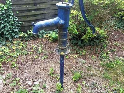 Haus mit Garten kaufen in 3430 Tulln (Bild 4)