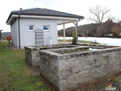 Einfamilienhaus kaufen in 2620 Wartmannstetten (Bild 4)