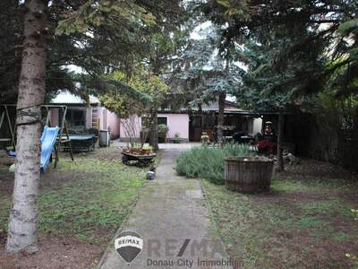 Grundstück kaufen in 2201 Kapellerfeld (Bild 4)