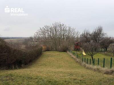 Haus kaufen in 7093 Jois (Bild 3)