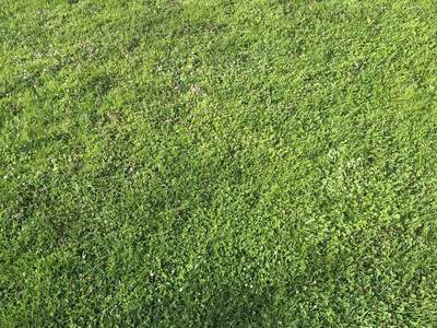 Grundstück provisionsfrei kaufen in 2020 Hollabrunn