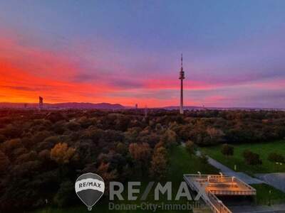 Terrassenwohnung mieten in 1220 Wien (Bild 1)