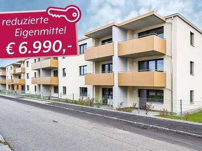 Wohnung mieten in 3950 Gmünd