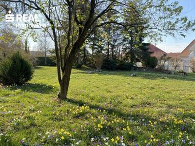 Grundstück kaufen in 7201 Neudörfl (Bild 3)