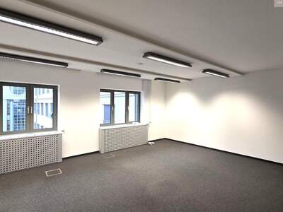Gewerbeobjekt mieten in 1030 Wien (Bild 2)