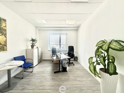 Gewerbeobjekt kaufen in 1230 Wien (Bild 2)