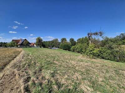 Grundstück kaufen in 8350 Fehring (Bild 2)