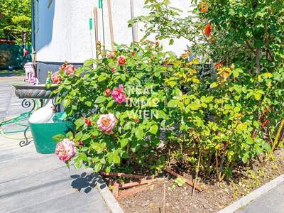 Haus kaufen in 1220 Wien