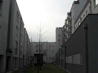 Einzelhandel mieten in 1210 Wien (Bild 3)